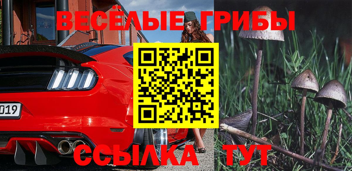 Первоуральск  Псилоцибиновые грибы Psilocybe  Вход с VPN  Галлюциногенные грибы Psilocybine cubensis 
