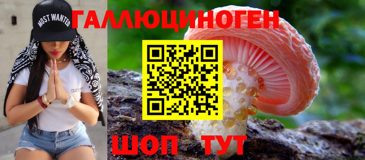 Псилоцибиновые грибы Psilocybine cubensis Первоуральск